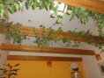 /album/fotogaleria/dsc00496-jpg/